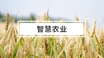 智慧農業設計方案