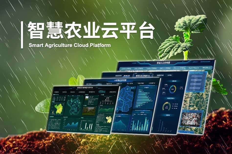 在當今這個科技日新月異的時代，定制化智慧農業解決方案正逐步成為推動農業創新的關鍵力量。這些解決方案基于先進的物聯網、大數據、人工智能等技術，針對不同地區、不同作物、不同生產需求的實際情況，量身定制，為農業生產帶來了前所未有的變革。